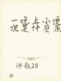 一晚上小便十几次是什么原因