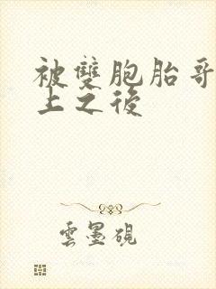 被双胞胎哥哥强上之后