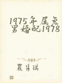 1975年属兔男婚配1978年属马女