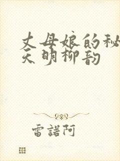 丈母娘的秘密叶天明柳韵