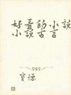 好看的小说言情小说古言