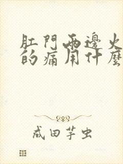 肛门两边火辣辣的痛用什么药