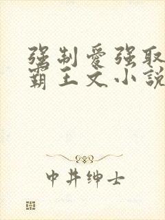 强制爱强取豪夺霸王文小说