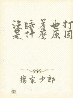 没睡着也打呼噜是什么原因