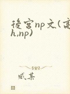 后宫np文(高h,np)
