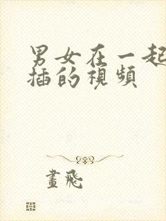 男女在一起插插插的视频