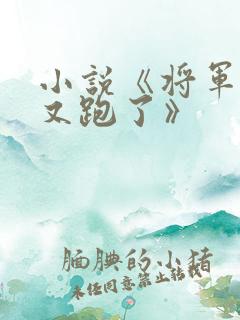 小说《将军夫人又跑了》