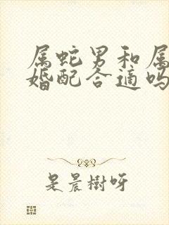 属蛇男和属牛女婚配合适吗?