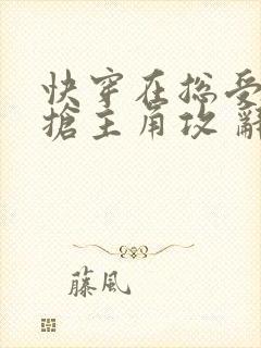 快穿在总受文里抢主角攻 辞玖