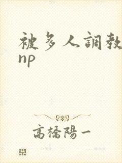 被多人调教玩弄np