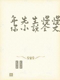 年先生慢慢喜欢你小说全文免费阅读