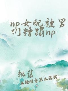 np女配被男主们糟蹋np