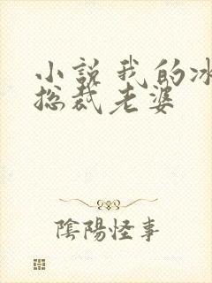 小说 我的冰山总裁老婆