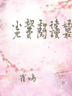 小黎和后妈小说免费阅读最新章节