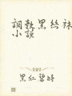 调教黑丝袜老师小说