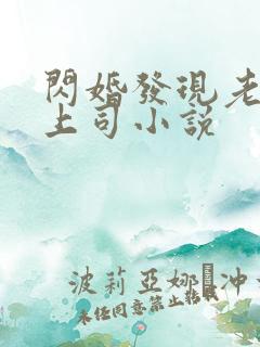 闪婚发现老公是上司小说