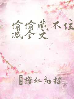 偷偷藏不住未删减全文