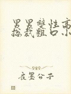 男男双性高h骚总裁粗口小说