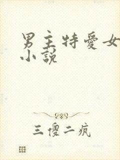 男主特爱女主的小说