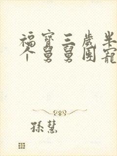 福宝三岁半被八个舅舅团宠了听书