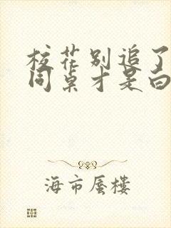 校花别追了高冷同桌才是白月光