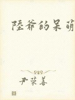 陆爷的呆萌甜妻