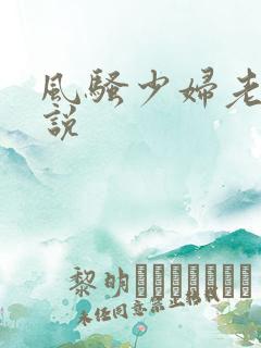 风骚少妇老师小说