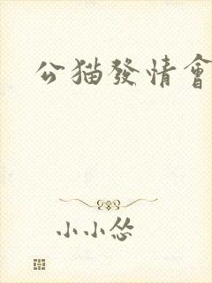 公猫发情会乱尿