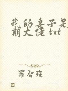 我的妻子是大乘期大佬 txt