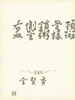 右侧锁骨颈动脉血管粥样斑块