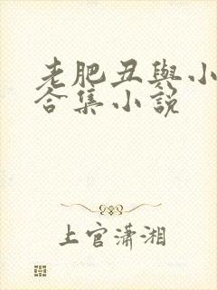 老肥丑与小美人合集小说