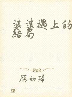 婆婆遇上的妈的结局