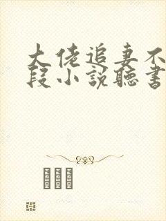 大佬追妻不择手段小说听书