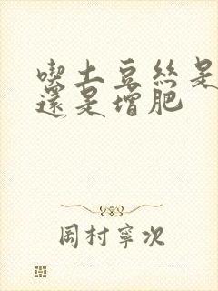 吃土豆丝是减肥还是增肥