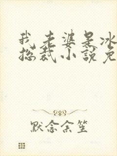 我老婆是冰山女总裁小说免患