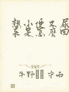 想小便又尿不出来是怎么回事还有血