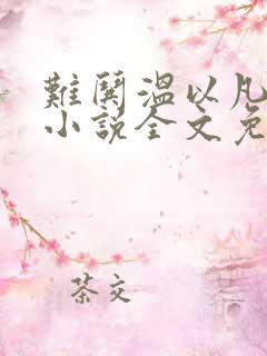 难哄温以凡桑延小说全文免费阅读全文