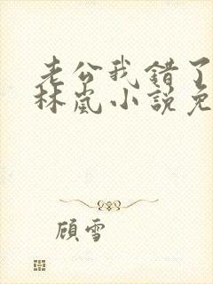 老公我错了赵凯林岚小说免费阅读