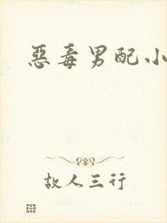 恶毒男配小说