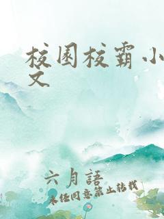 校园校霸小说甜文