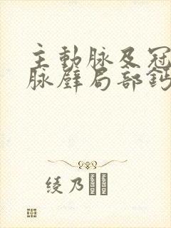 主动脉及冠状动脉壁局部钙化