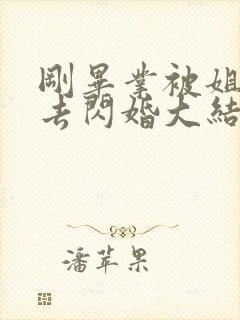 刚毕业被姐姐拉去闪婚大结局