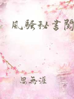 风骚秘书阅读