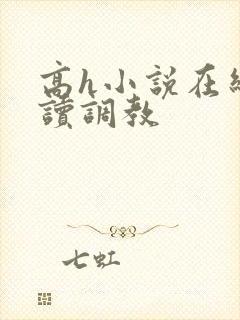 高h小说在线阅读调教