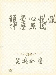 头晕心慌慌的是什么原因