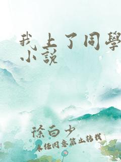 我上了同学妈妈小说