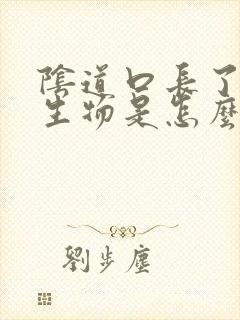 阴道口长了小赘生物是怎么回事