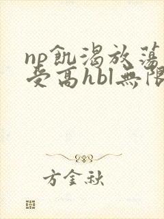 np饥渴放荡总受高hbl无限流