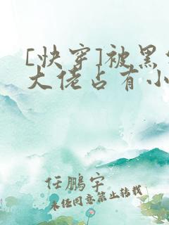 [快穿]被黑化大佬占有小说
