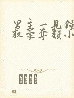 男主一见钟情强取豪夺类小说